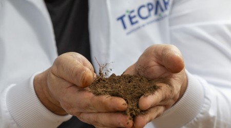 Tecpar inicia projeto inédito para estudar  DNA do solo paranaense